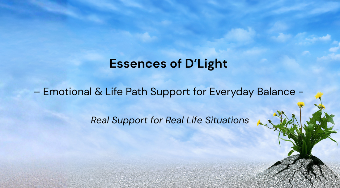 Emotional & Life-Path Support for Everyday Balance - Real Support for Real Life Situations.