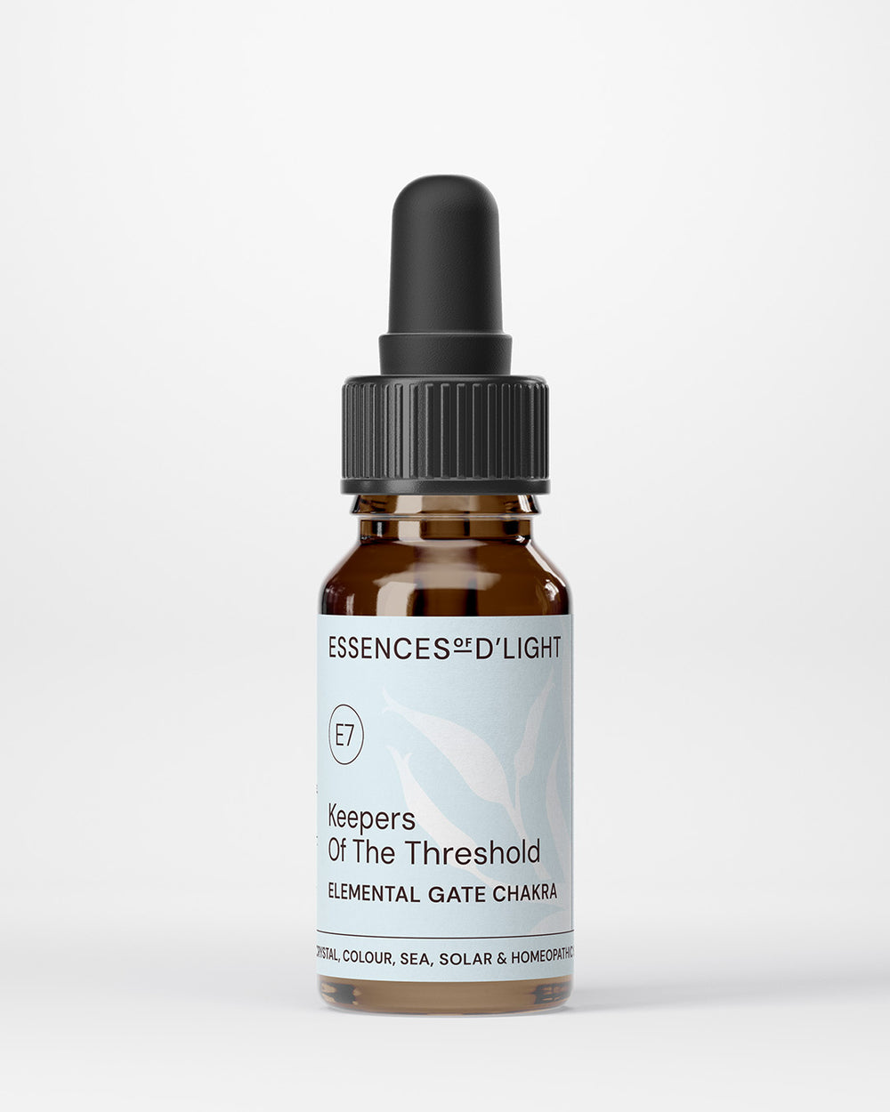 E7. Elemental Gate Chakra Essence – Keepers of the Threshold