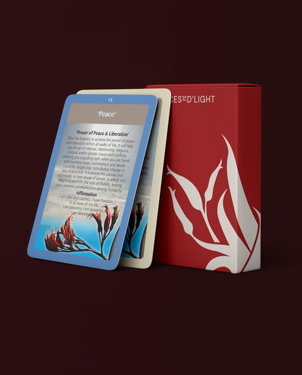 60-Minute Online Soul Evolution Consultation