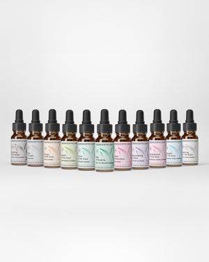 S0–S10. Inner Gateway Range - Secondary Chakras – Bridge Between Human and Soul