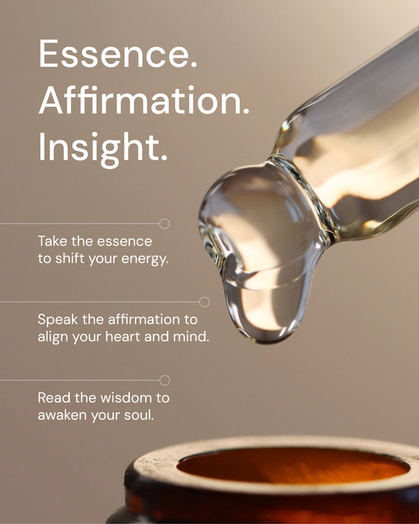 6. Order – Bringing Order to Chaos