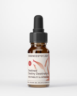 18. Destined, Destiny, Destination – Inevitability & Intention to Be