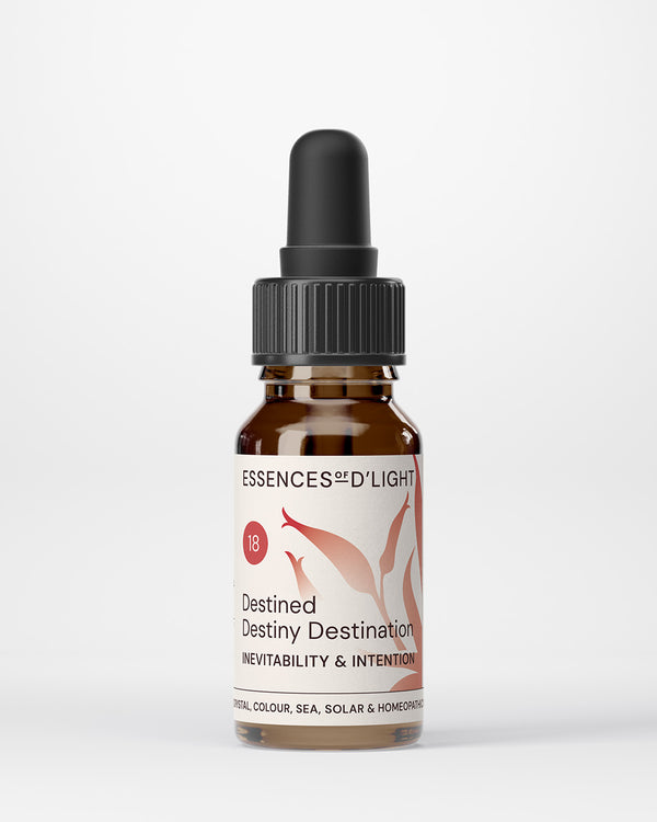 18. Destined, Destiny, Destination – Inevitability & Intention to Be