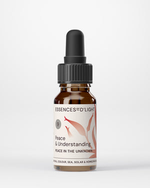 9. Peace & Understanding – Peace & Understanding in the New World