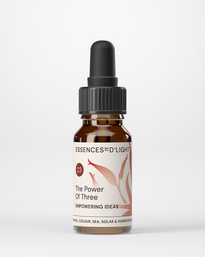 23. Power of 3 – Empowering the Melting Pot