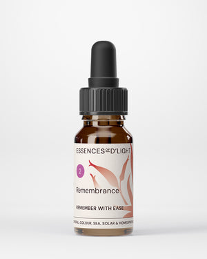 2. Remembrance – Remember Past Memories with Ease