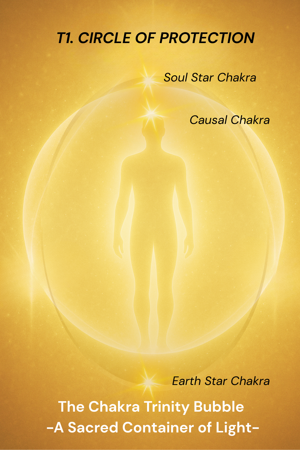T1. The Circle of Protection – Feeling Safe Enough to Begin Healing