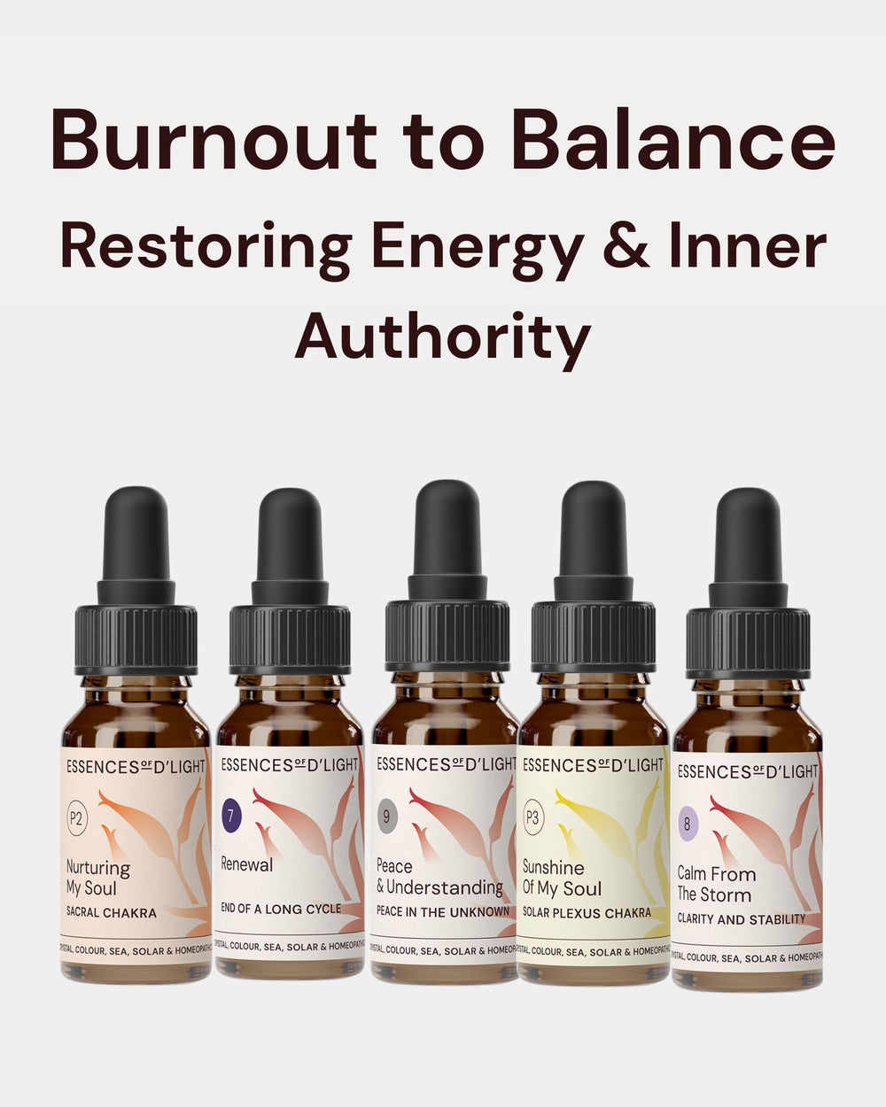 1RPS2 Balance → Burnout – Essence Support Pathway