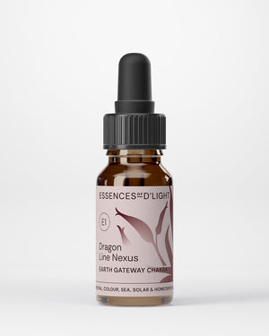 E1. Earth Gateway Chakra Essence – Dragon Line Nexus