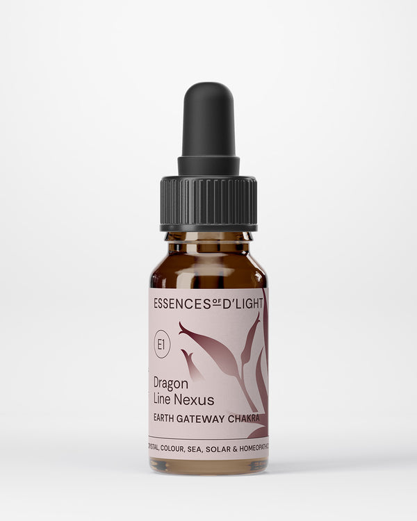 E1. Earth Gateway Chakra Essence – Dragon Line Nexus