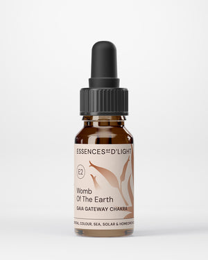 E2. Gaia Gateway Chakra Essence – Womb of Earth