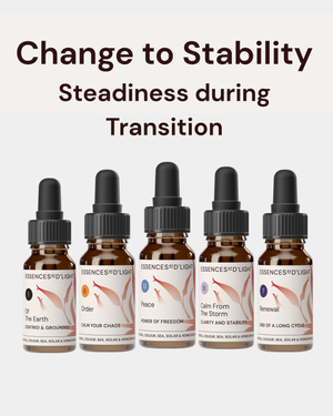 1RPS4 Change to Stability – Essence Support Pathway