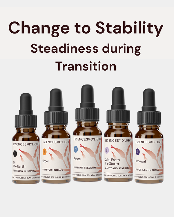 1RPS4 Change to Stability – Essence Support Pathway
