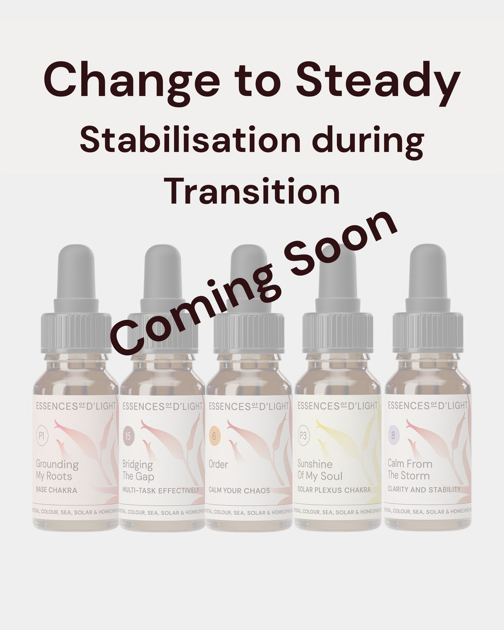 1RPS4 Change to Steady – Essence Support Pathway