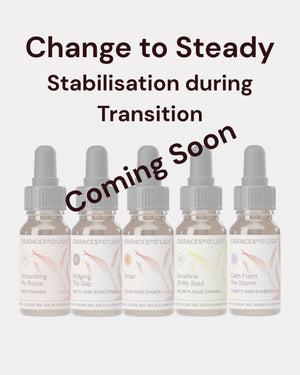 1RPS4 Change to Steady – Essence Support Pathway