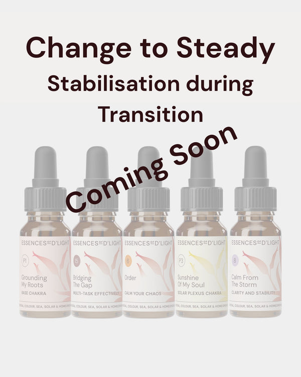 1RPS4 Change to Steady – Essence Support Pathway