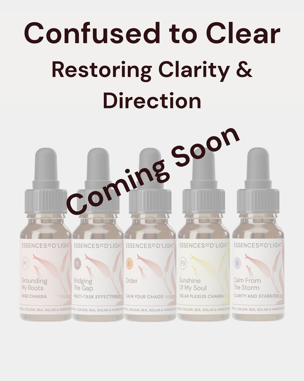 1RPS6 Confused to Clear – Essence Support Pathway