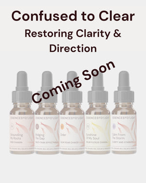 1RPS6 Confused to Clear – Essence Support Pathway