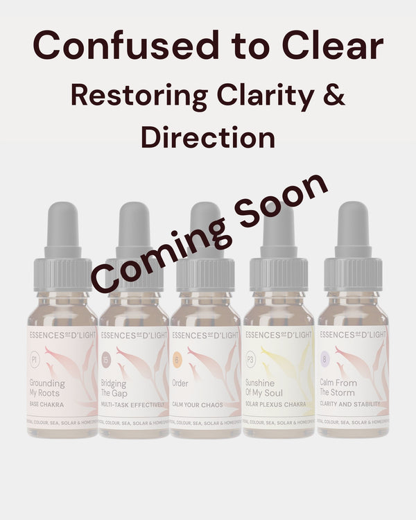 1RPS6 Confused to Clear – Essence Support Pathway