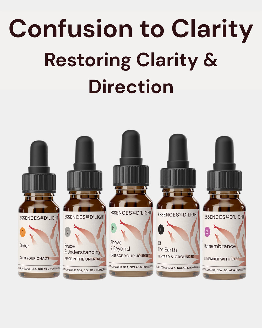 1RPS6 Confusion to Clarity – Essence Support Pathway