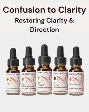 1RPS6 Confusion to Clarity – Essence Support Pathway