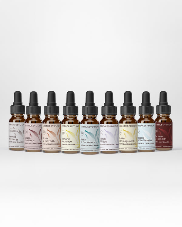 E0–E8. Earth Gateway Range - Sub-personal Chakras - Anchoring Soul into Sacred Ground