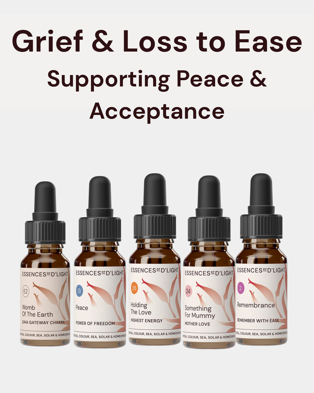 1RPS8 Grief & Loss to Ease – Essence Support Pathway