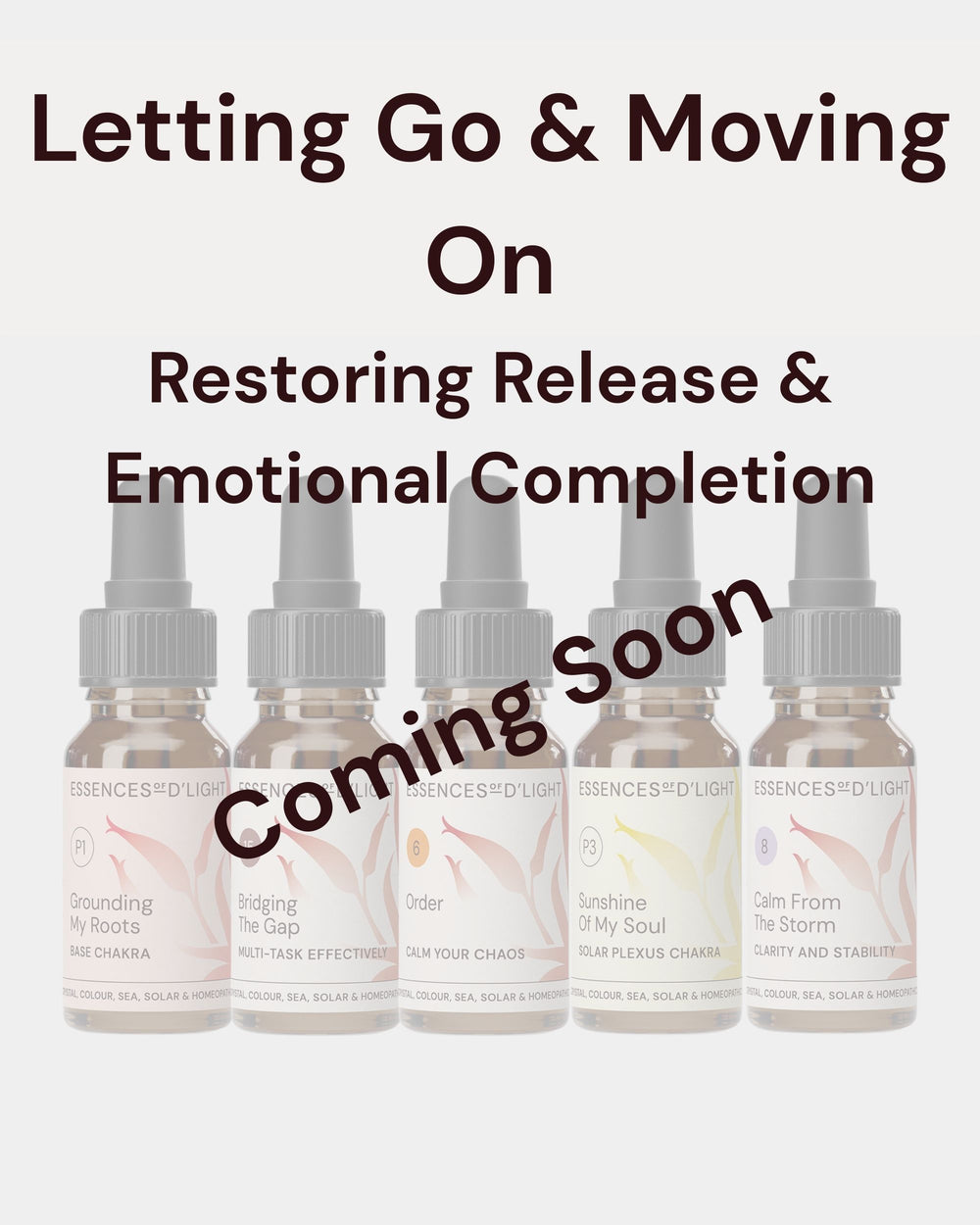 1RPS7 Letting Go & Moving On – Essence Support Pathway