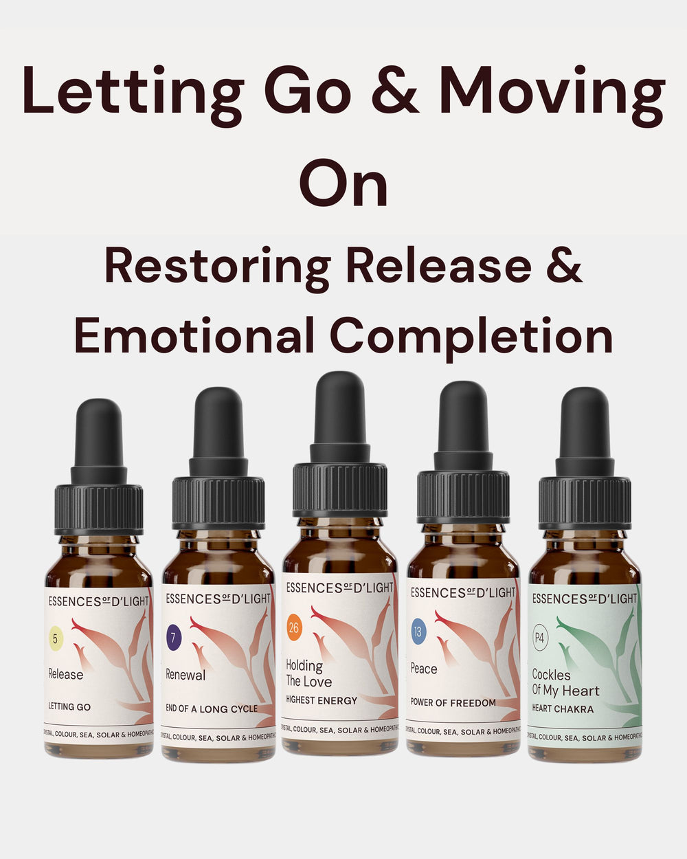 1RPS7 Letting Go & Moving On – Essence Support Pathway