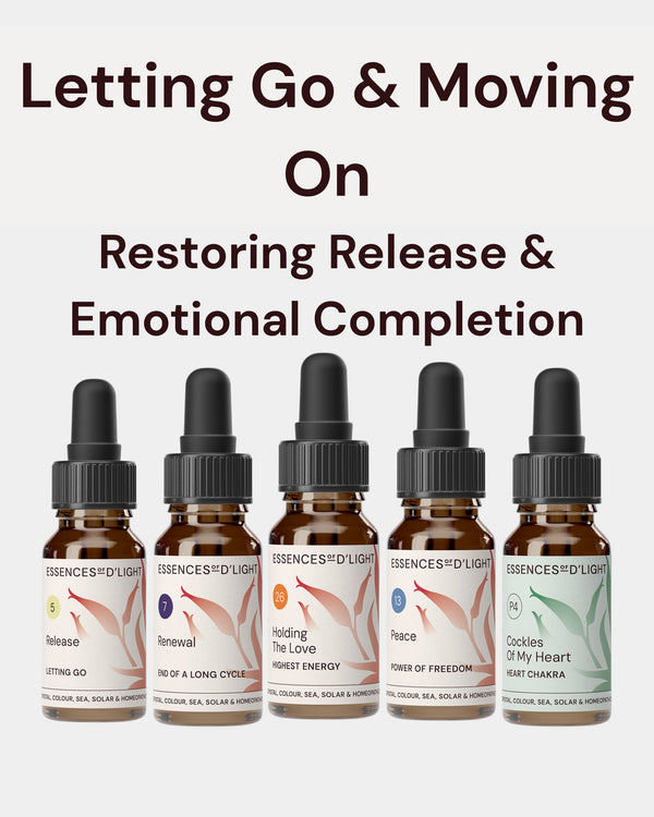 1RPS7 Letting Go & Moving On – Essence Support Pathway