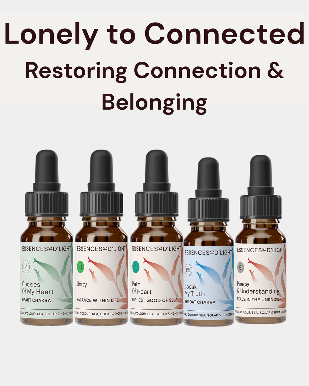 1RPS5 Lonely to Connected – Essence Support Pathway