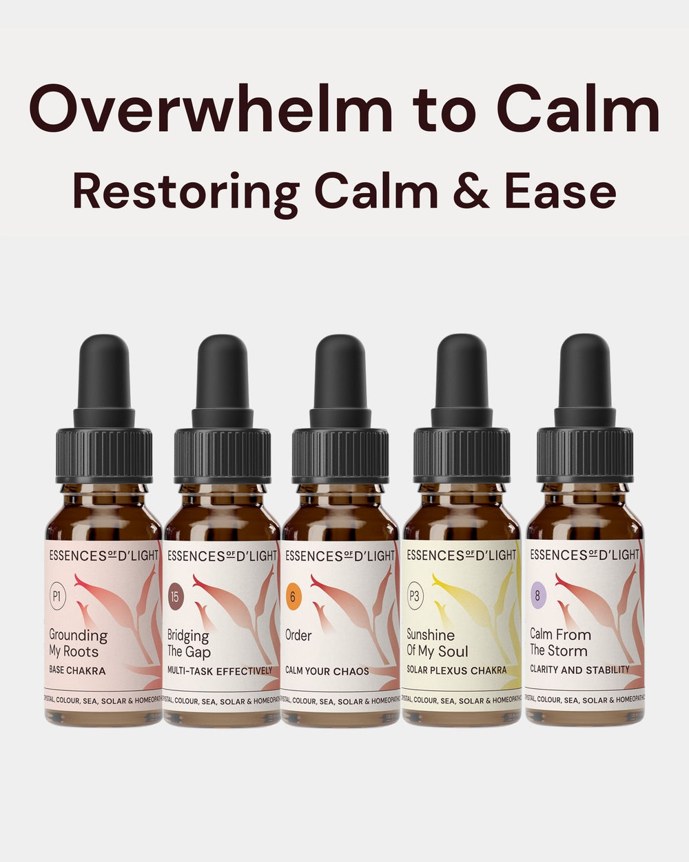 1RPS1 Overwhelm → Calm – Essence Support Pathway