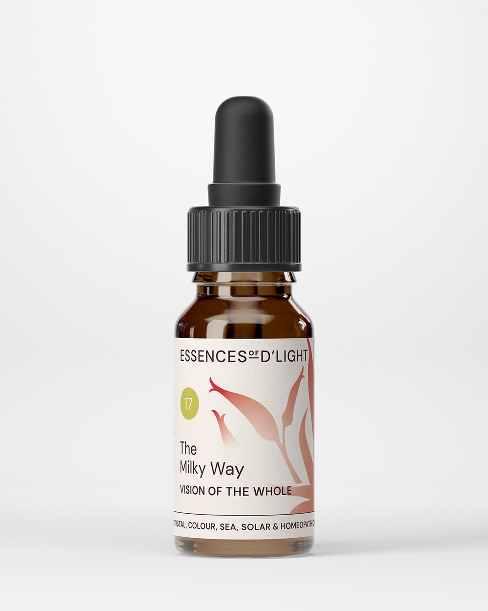 17. The Milky Way – Vision of the Whole